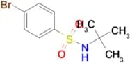 4-BROMO-N-TERT-BUTYLBENZENESULPHONAMIDE