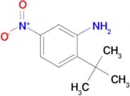 2-TERT-BUTYL-5-NITROANILINE