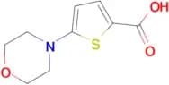 5-MORPHOLINOTHIOPHENE-2-CARBOXYLIC ACID