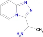 1-[1,2,4]TRIAZOLO[4,3-A]PYRIDIN-3-YLETHANAMINE