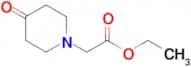 ETHYL 2-(4-OXOPIPERIDIN-1-YL)ACETATE