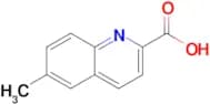 6-METHYLQUINOLINE-2-CARBOXYLIC ACID