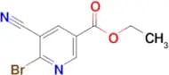 6-BROMO-5-CYANO-NICOTINIC ACID ETHYL ESTER