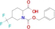 1-((BENZYLOXY)CARBONYL)-5-(TRIFLUOROMETHYL)PIPERIDINE-2-CARBOXYLIC ACID