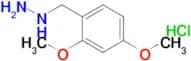 (2,4-Dimethoxybenzyl)hydrazine hydrochloride