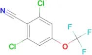 2,6-DICHLORO-4-(TRIFLUOROMETHOXY)BENZONITRILE