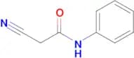 2-Cyanoacetanilide