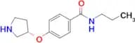 (S)-N-PROPYL-4-(PYRROLIDIN-3-YLOXY)BENZAMIDE