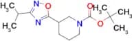 1-BOC-3-(3-ISOPROPYL-1,2,4-OXADIAZOL-5-YL)PIPERIDINE