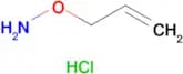O-ALLYLHYDROXYLAMINE HCL