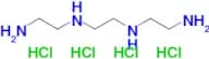 TRIETHYLENETETRAMINE TETRAHCL