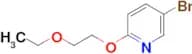 2-(2-ETHOXYETHOXY)-5-BROMOPYRIDINE