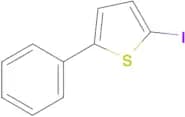 2-IODO-5-PHENYLTHIOPHENE