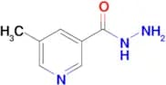 5-METHYLPYRIDINE-3-CARBOHYDRAZIDE