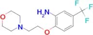 2-(2-Morpholinoethoxy)-5-(trifluoromethyl)aniline