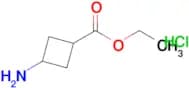 ETHYL 3-AMINOCYCLOBUTANECARBOXYLATE HCL