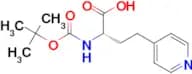 (S)-2-((TERT-BUTOXYCARBONYL)AMINO)-4-(PYRIDIN-4-YL)BUTANOIC ACID