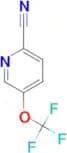 5-(TRIFLUOROMETHOXY)PICOLINONITRILE
