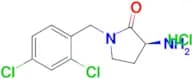 (S)-3-AMINO-1-(2,4-DICHLOROBENZYL) PYRROLIDIN-2-ONE HCL