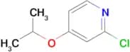 2-CHLORO-4-ISOPROPOXYPYRIDINE