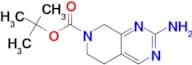 2-AMINO-5,8-DIHYDRO-6H-PYRIDO[3,4-D]PYRIMIDINE-7-CARBOXYLIC ACID TERT-BUTYL ESTER