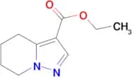 4,5,6,7-Tetrahydro-pyrazolo[1,5-a]pyridine-3-carboxylic acid ethyl ester