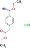 (4-Ethoxycarbonimidoyl-phenyl)-acetic acid ethyl ester; hydrochloride