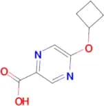 5-Cyclobutoxypyrazine-2-carboxylic acid