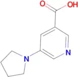 5-(Pyrrolidin-1-yl)nicotinic acid