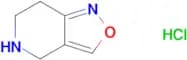 4,5,6,7-tetrahydroisoxazolo[4,3-c]pyridine hydrochloride