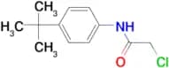 N-(4-tert-Butyl-phenyl)-2-chloro-acetamide