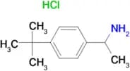 1-(4-tert-Butyl-phenyl)-ethylamine;hydrochloride