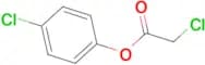 Chloro-acetic acid 4-chloro-phenyl ester