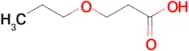 3-Propoxy-propionic acid