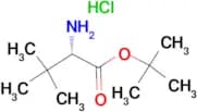 L-a-tert-Butylglycine-tert-butyl ester hydrochloride