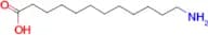 12-Aminododecanoic acid