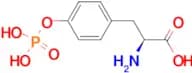 O-Phospho-L-tyrosine