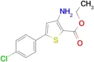 Ethyl 3-Amino-5-(4-chlorophenyl)thiophene-2-carboxylate