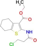 ethyl 2-(3-chloropropanamido)-4,5,6,7-tetrahydrobenzo[b]thiophene-3-carboxylate