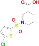 1-[(5-Chloro-2-thienyl)sulfonyl]piperidine-3-carboxylic acid