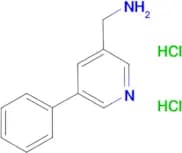 (5-phenylpyridin-3-yl)methanamine dihydrochloride