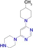 4-(4-methylpiperidin-1-yl)-6-piperazin-1-ylpyrimidine