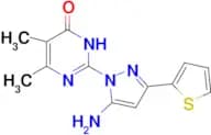 2-[5-amino-3-(2-thienyl)-1H-pyrazol-1-yl]-5,6-dimethylpyrimidin-4(3H)-one