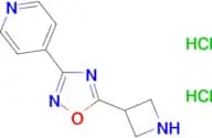 4-(5-azetidin-3-yl-1,2,4-oxadiazol-3-yl)pyridine dihydrochloride