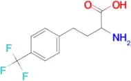 2-amino-4-[4-(trifluoromethyl)phenyl]butanoic acid