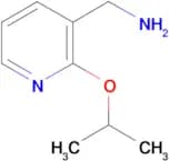 [(2-isopropoxypyridin-3-yl)methyl]amine