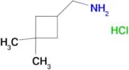 (3,3-dimethylcyclobutyl)methanamine hydrochloride