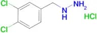 (3,4-dichlorobenzyl)hydrazine hydrochloride