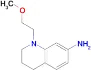 1-(2-methoxyethyl)-1,2,3,4-tetrahydroquinolin-7-amine