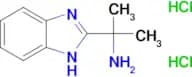 [1-(1H-benzimidazol-2-yl)-1-methylethyl]amine dihydrochloride